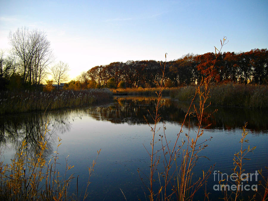 Fall Sunset Wetlands Reflection  Photograph by Frank J Casella