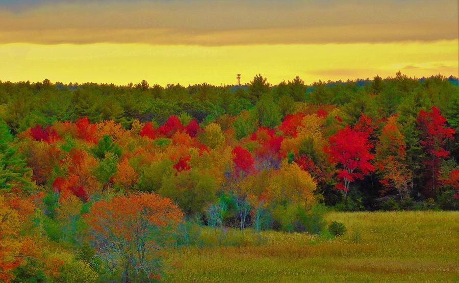 - Fall Sunset with Fire Tower  Photograph by THERESA Nye