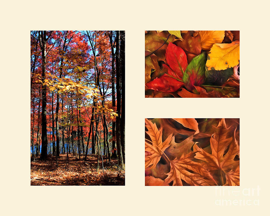 Landscape Photograph - Fall Theme #1 by Rosanna Life