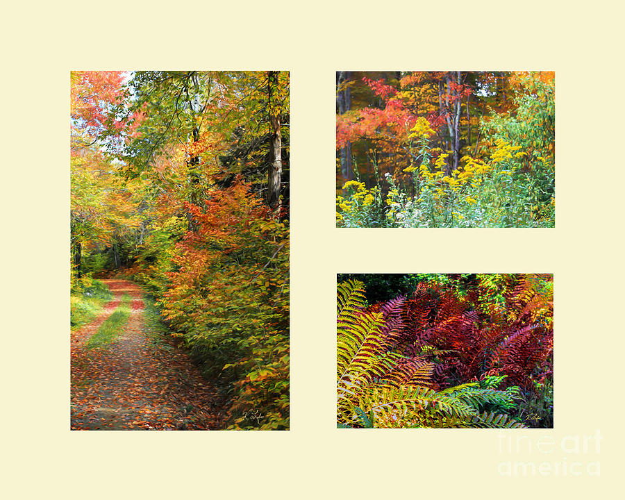 Landscape Photograph - Fall Theme #2 by Rosanna Life