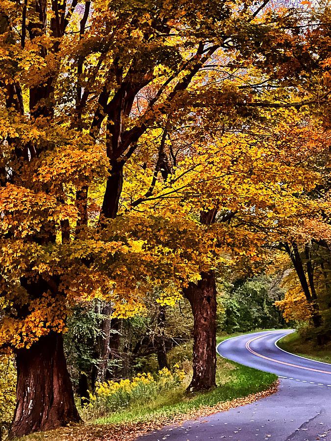 Fall time drive Photograph by Stephen Dorton