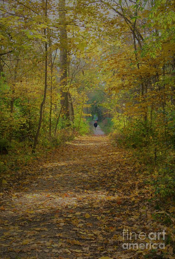 Fall Trail Digital Art