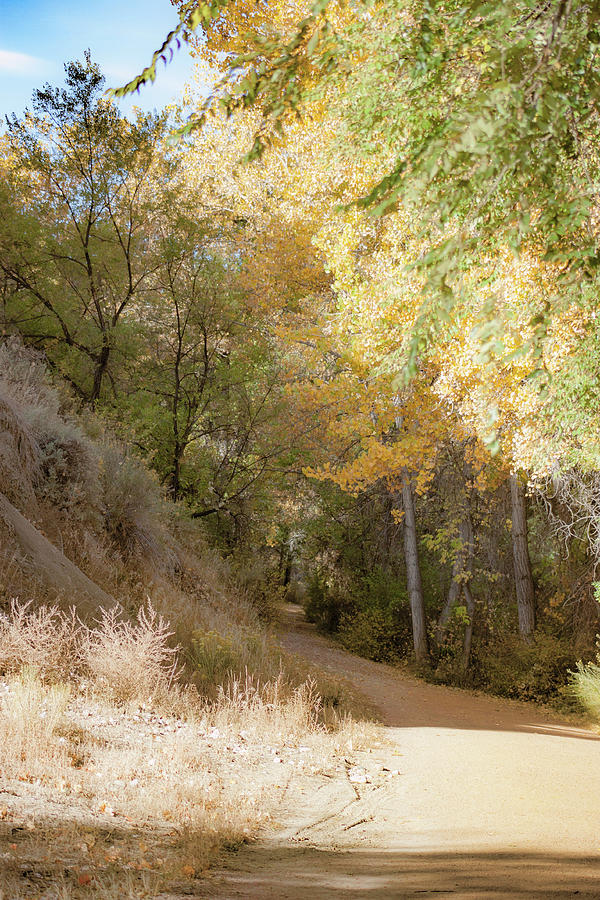 Fall Trail Photograph by Gerri Duke