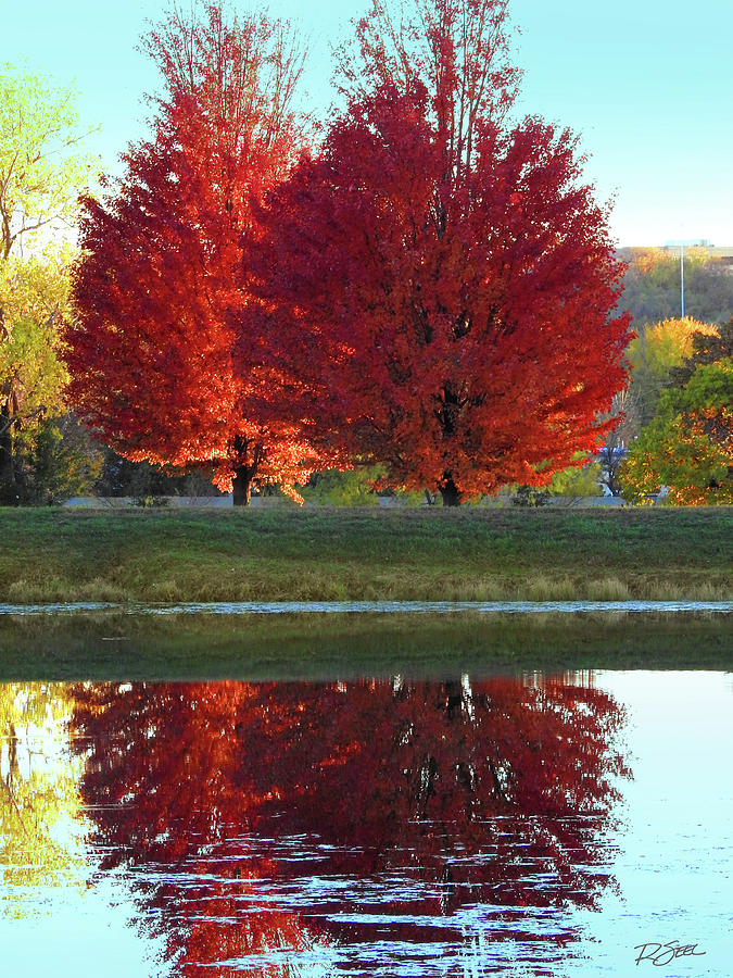 Fall Tree Reflections Photograph by Rod Seel
