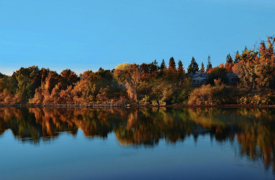 Fall Trees Along the River Photograph by Marilyn MacCrakin