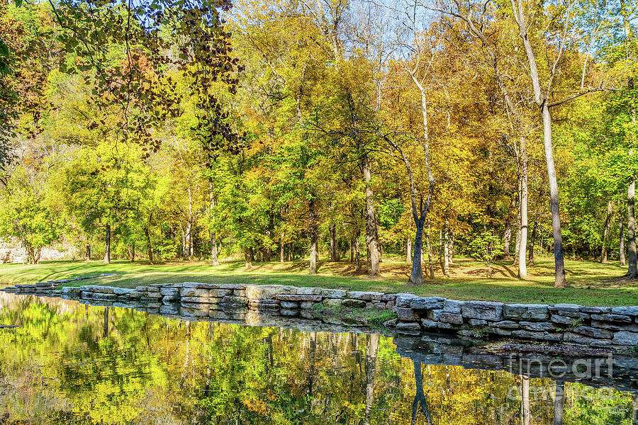 Fall Trees Creek Reflections Photograph by Jennifer White
