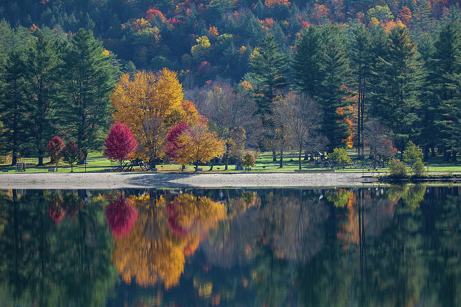 Fall Trees Reflected Photograph by Denise Kopko