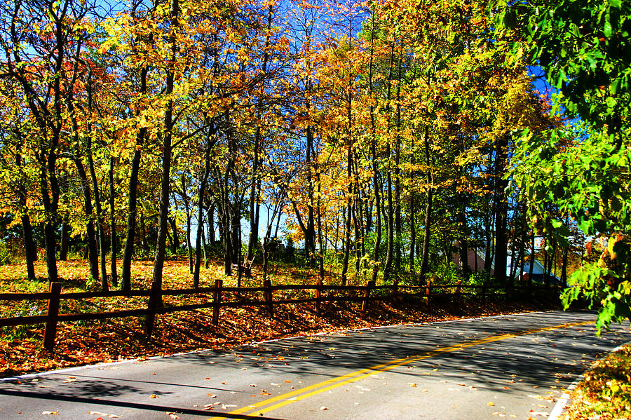 Fall Trees Wooded Country Road Photograph by Patrick Malon