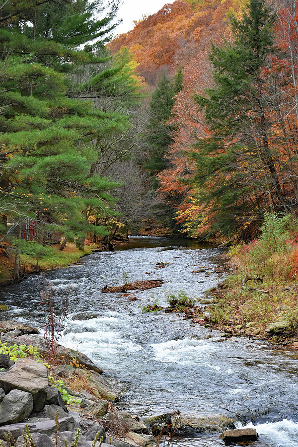 Medix Run, PA Photograph by Ralph Scherder - Fine Art America