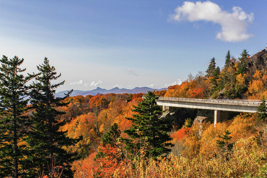 Fall Viaduct Photograph by Mandy Jordan - Fine Art America