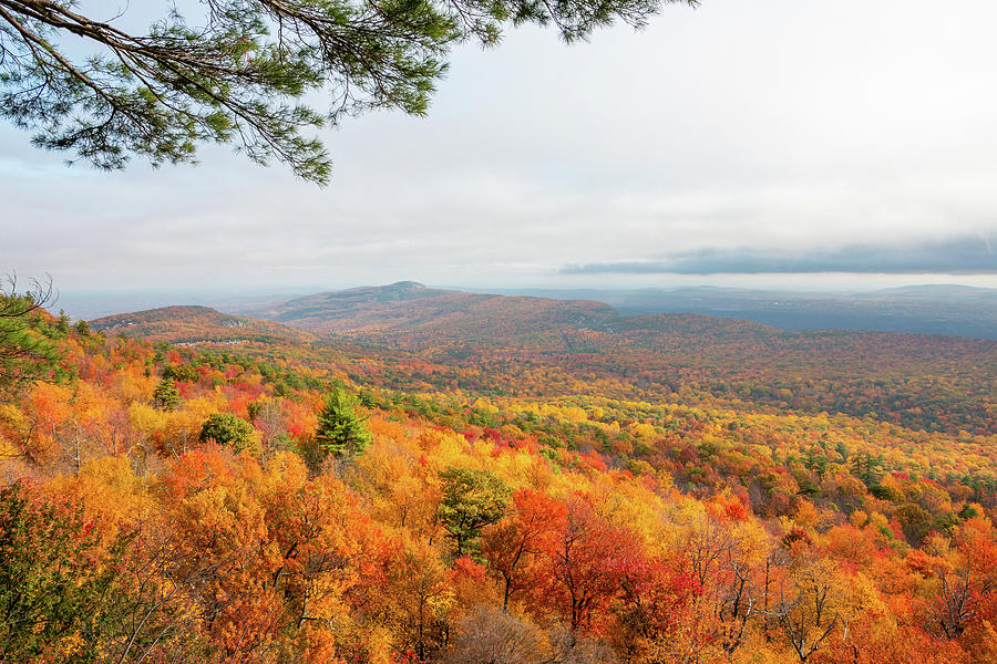 Fall View from Beacon Hill Loop Photograph by Jeff Severson