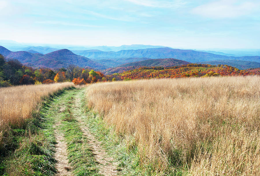 Fall View from Max Patch Photograph by Gordon Ripley