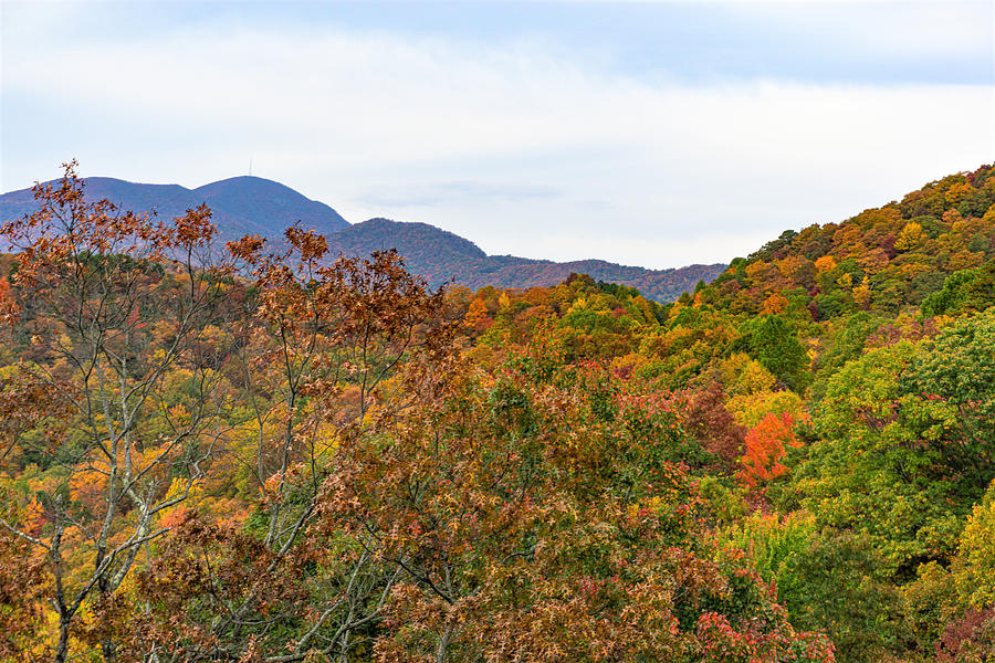 Fall View of Mount Pisgah Photograph by Katherine Y Mangum