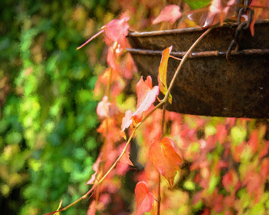 Fall Vines and Copper Basket 2 Photograph by Lindsay Thomson