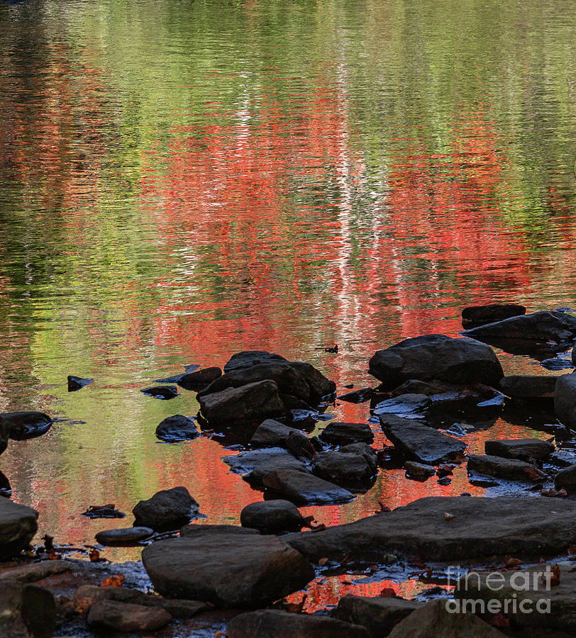 Fall Foliage Photograph - Fall Water Colors  B2352 by Stephen Parker