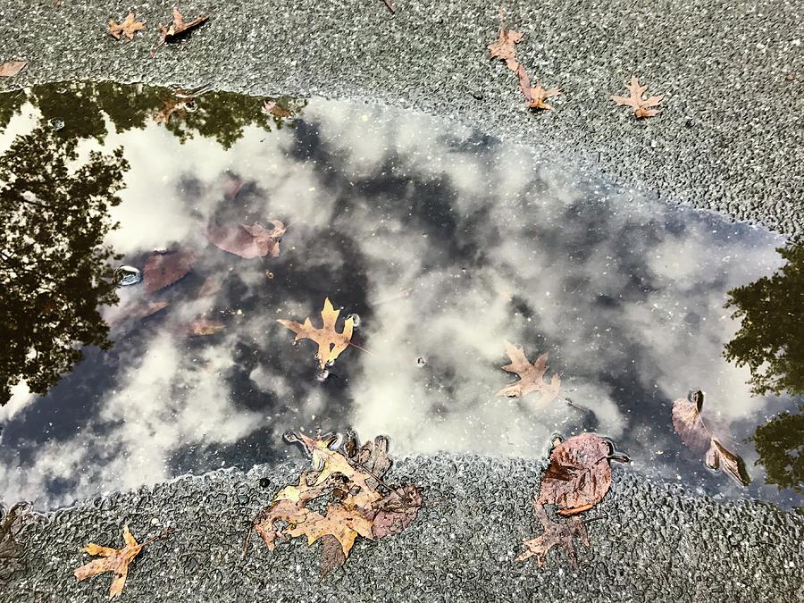 Fall Water Puddle, NYC Photograph by Judy Frisk