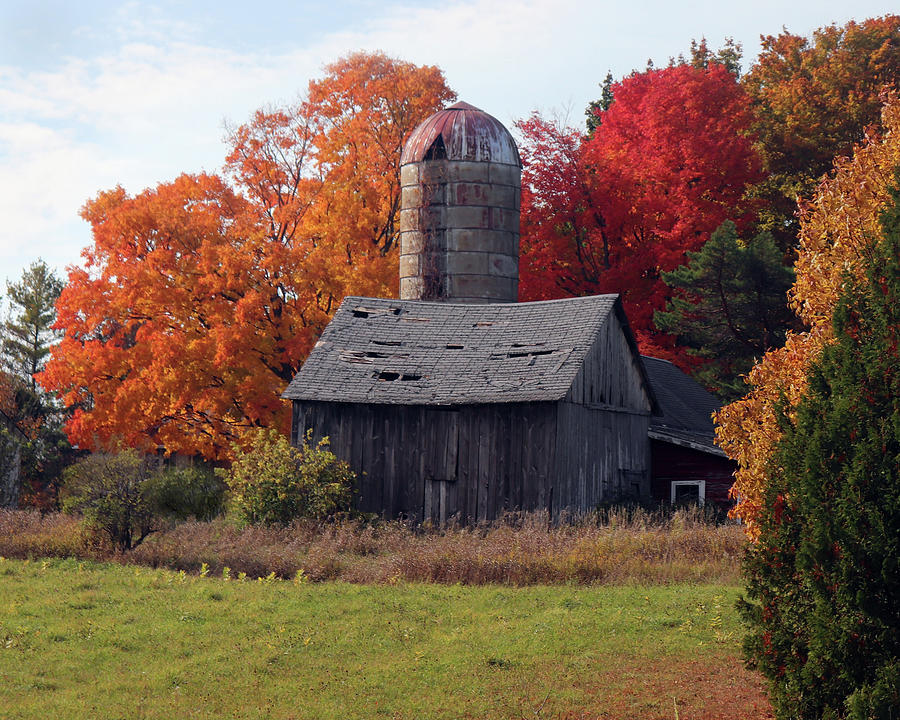 Fall Weathered Barn and Silo 2 Photograph by David T Wilkinson