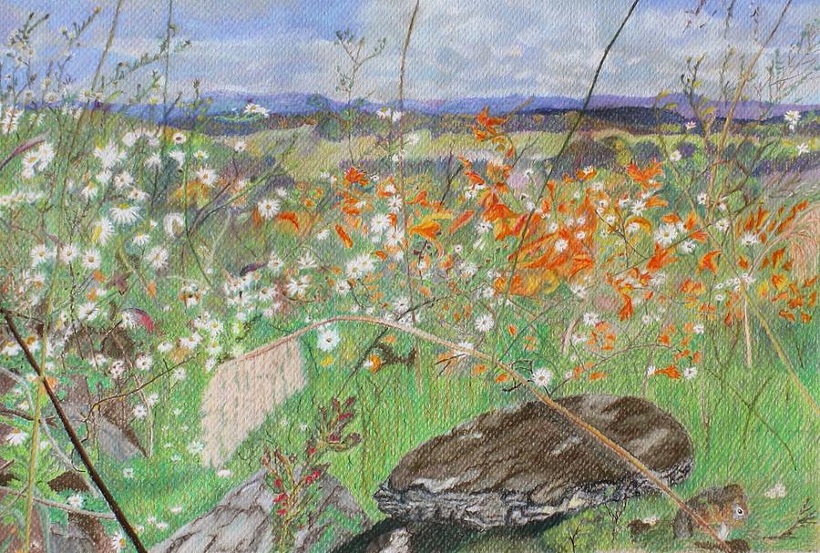 Gettysburg National Park Painting - Fall Wildflowers at Little Roundtop by Kathy Crockett