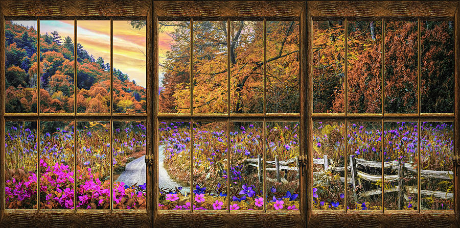 Fall Window View Photograph by Debra and Dave Vanderlaan
