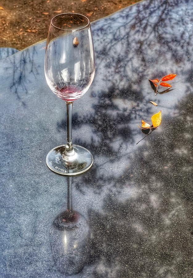 Fall Wine Photograph by Steph Gabler