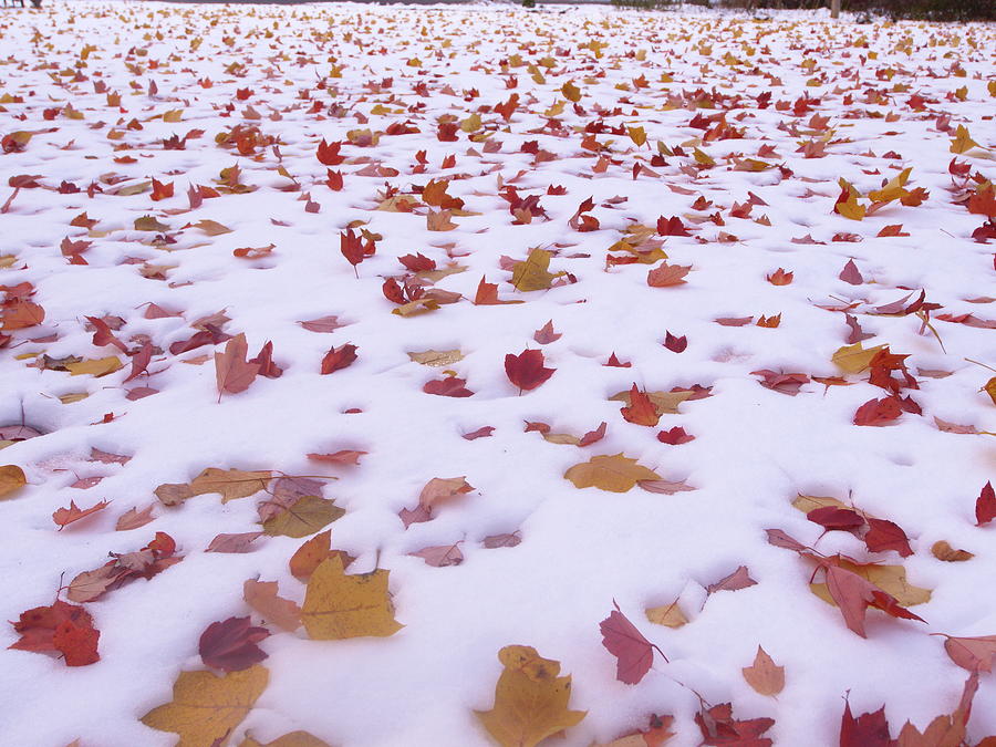 Fall - Winter Collision Photograph by Jeffrey Peterson