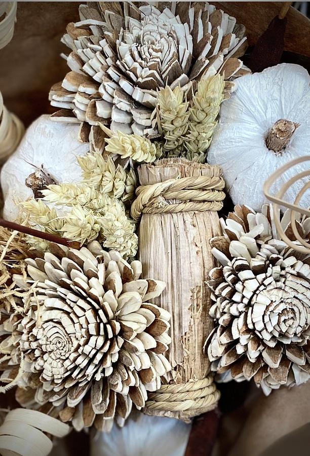 Fall Wooden Whites Photograph