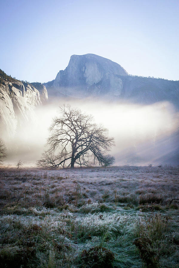Fall Yosemite Photograph