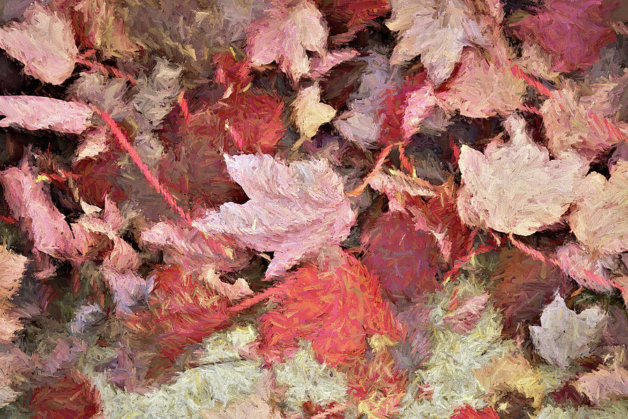 Tapestry of Fall Leaves Photograph by Dennis Baswell