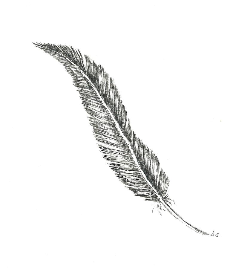 Fallen Feather Photograph by Diane Sleger
