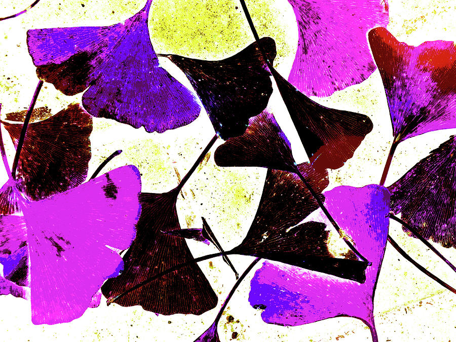 Fallen Ginko Leaves Violet Mixed Media by Sharon Williams Eng