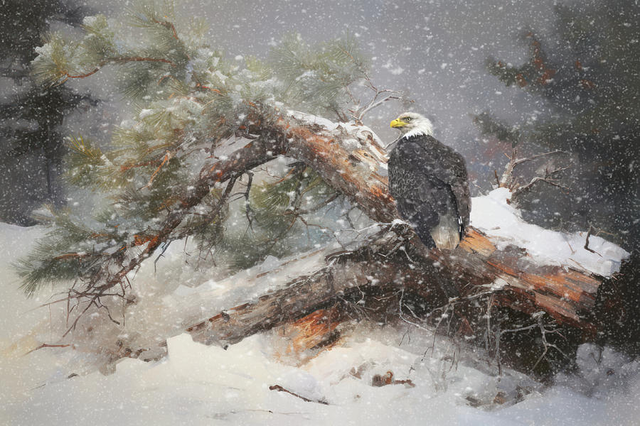 Fallen - Bald Eagle Winter Wildlife Art Photograph by Jai Johnson