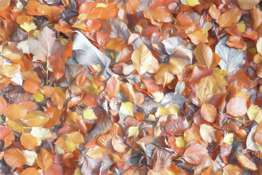 Fallen Leaves 4 Digital Art by Roy Pedersen