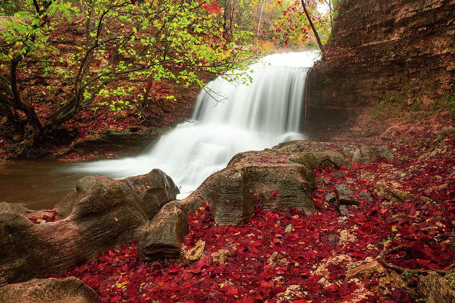 Fallen Leaves And Flowing Waters At Tanyard Creek Falls Photograph by Gregory Ballos
