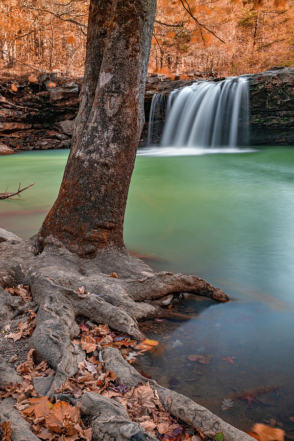 Fallen Leaves At Falling Water Falls Photograph by Gregory Ballos
