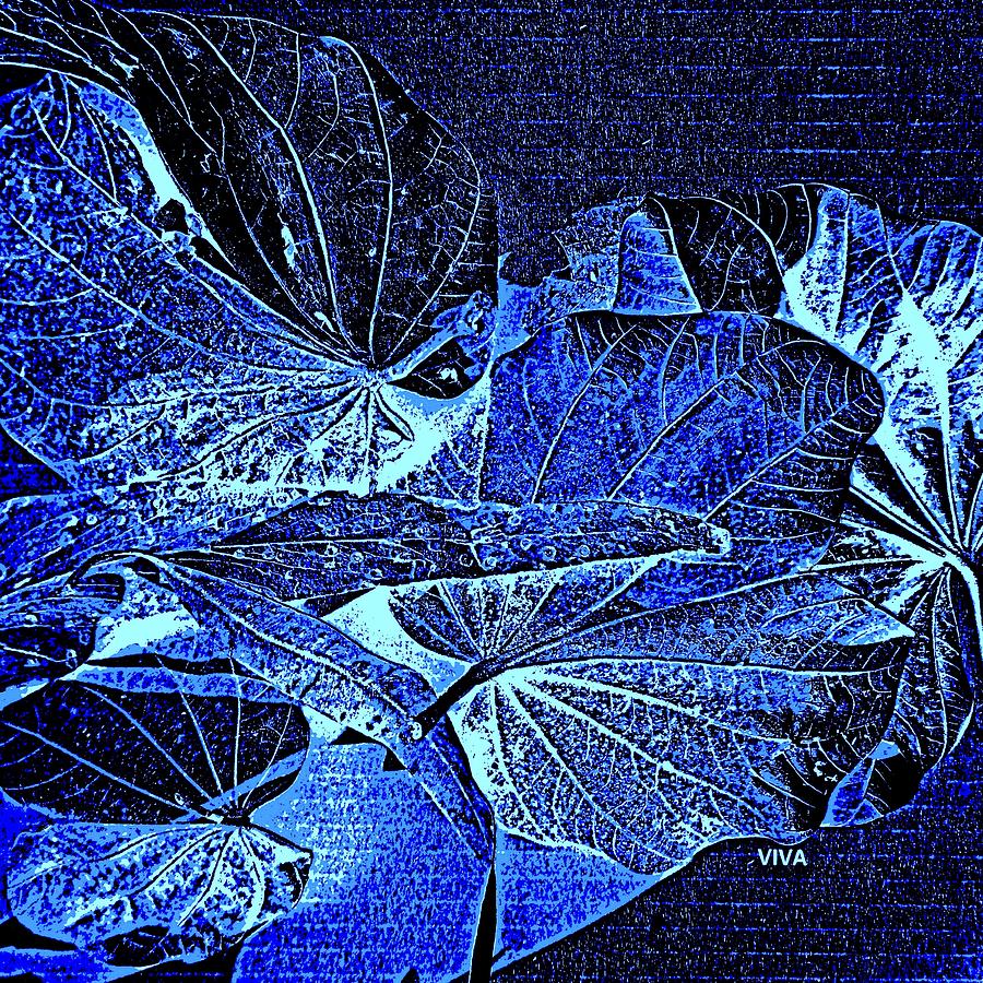 Fallen Leaves At Midnight Photograph by VIVA Anderson