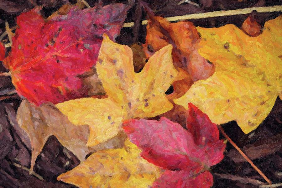 Fallen Leaves Photograph by Carolyn Ann Ryan