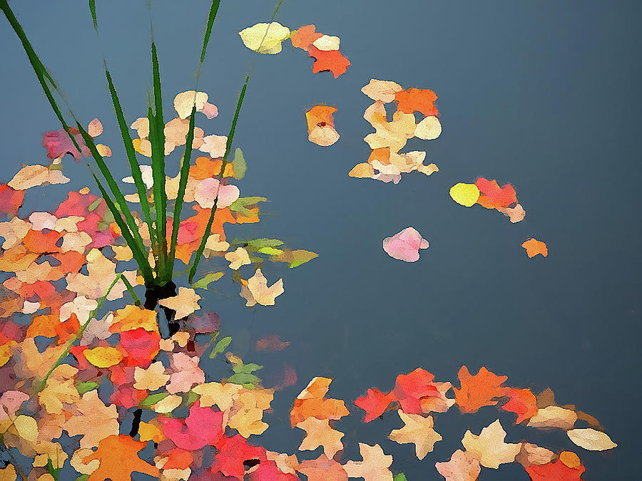 Fallen Leaves Digital Art by George Harth