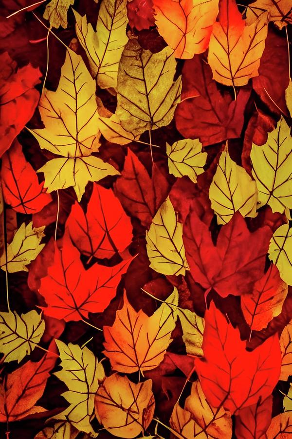 Fallen Leaves Digital Art by Nathan Merrill - Fine Art America