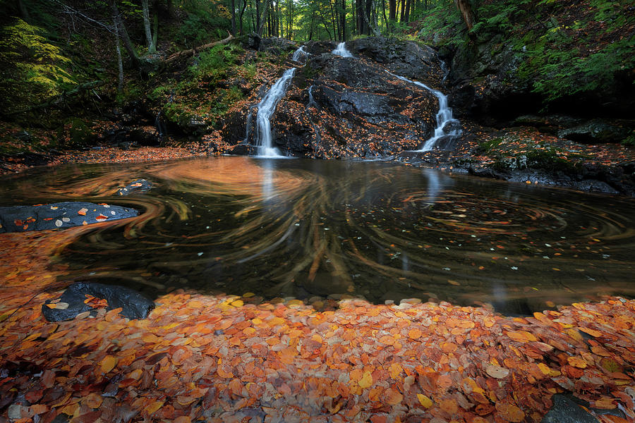 fallen leaf waterfall