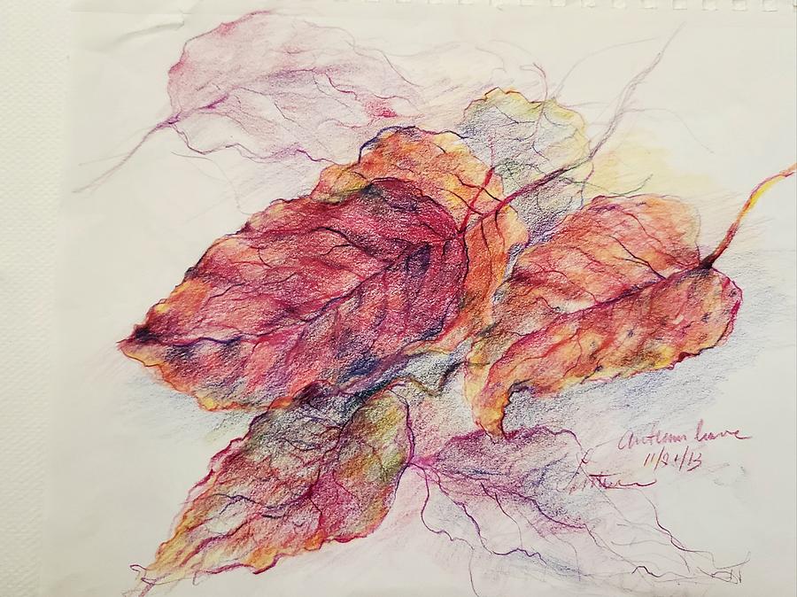 Fallen Leaves Drawing By Sulastri Linville