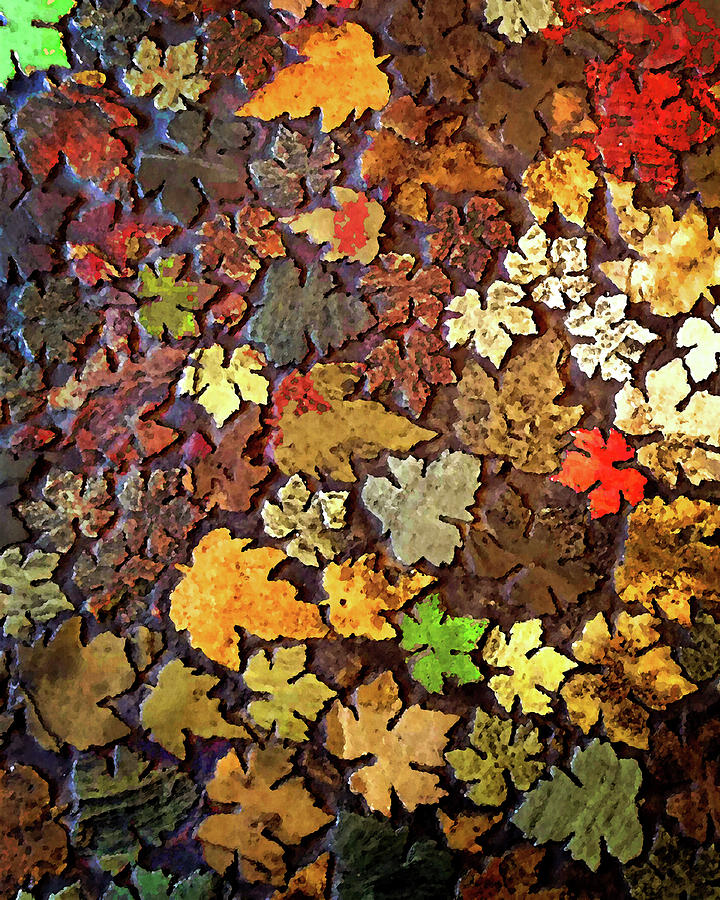 Fallen Leaves Photograph by Timothy Bulone