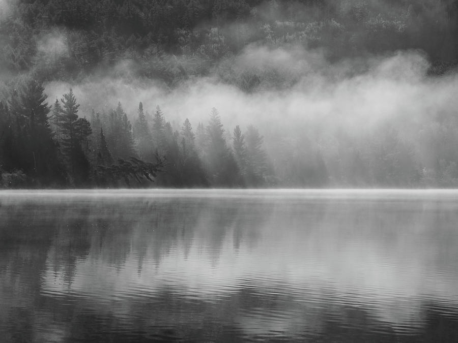 Fallen Spruce Tree over Misty Lake Photograph by Pak Hong