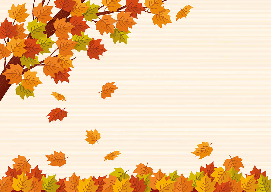 Falling autumn leaves. Vector illustration. Drawing by Paci77