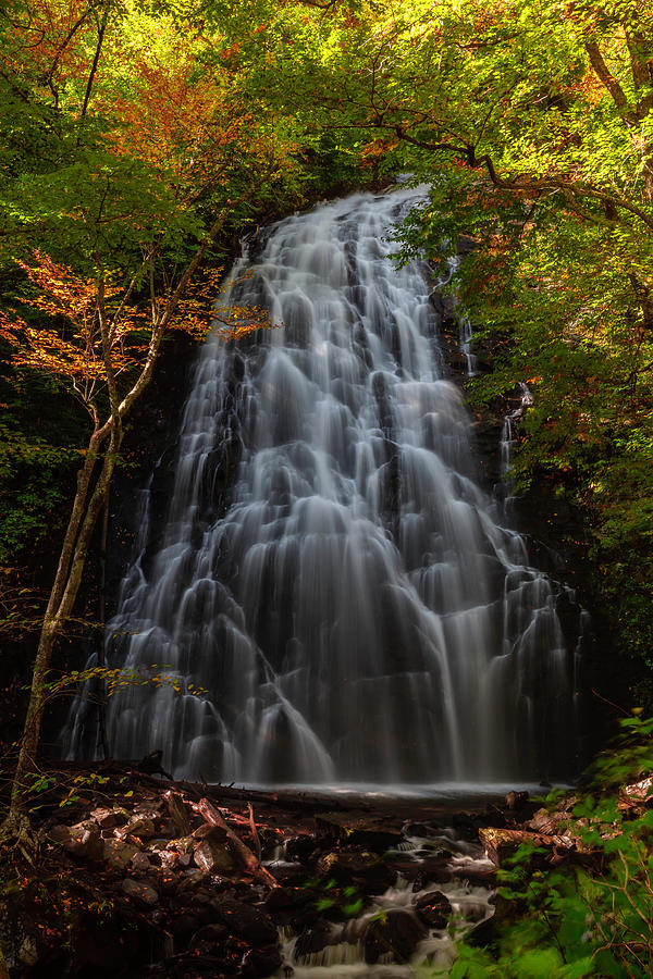 Falling Color Photograph by Jeffery Edwards - Fine Art America