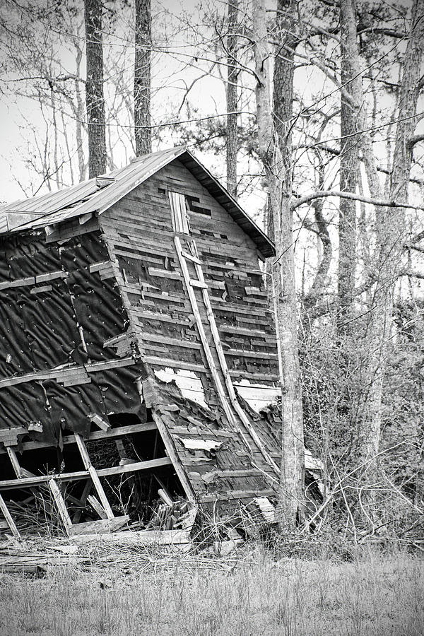 Falling Down - North Carolina Tobacco Barn Photograph by Bob Decker