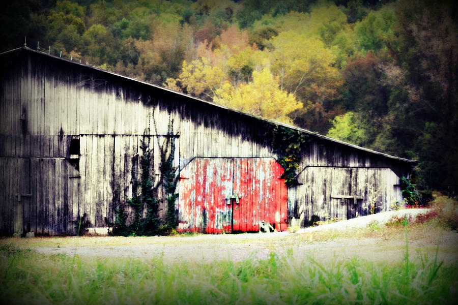 Falling For Tennessee Photograph