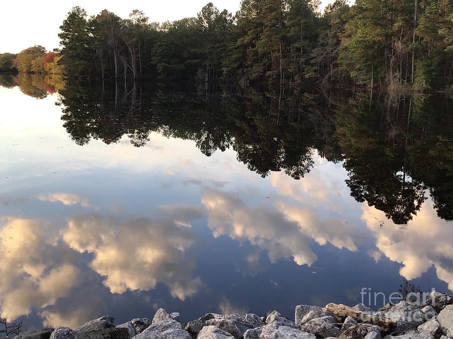 Johnson Millpond - Virginia Falling in Love 4 Photograph by Catherine Wilson