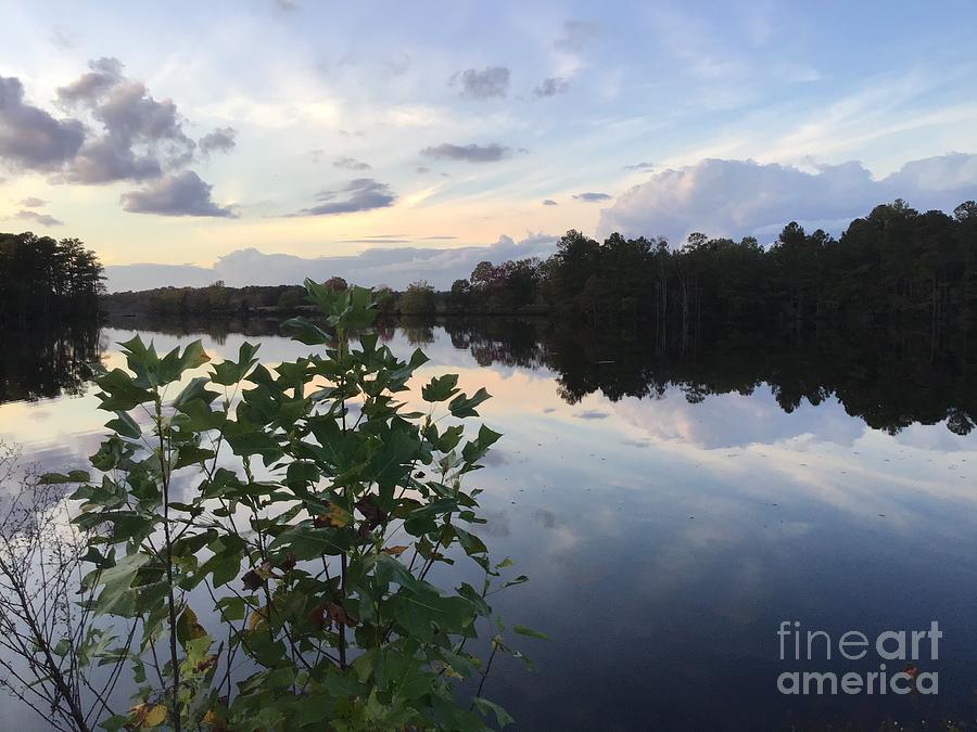 Johnson Millpond - Virginia Falling in Love 5 Photograph by Catherine Wilson