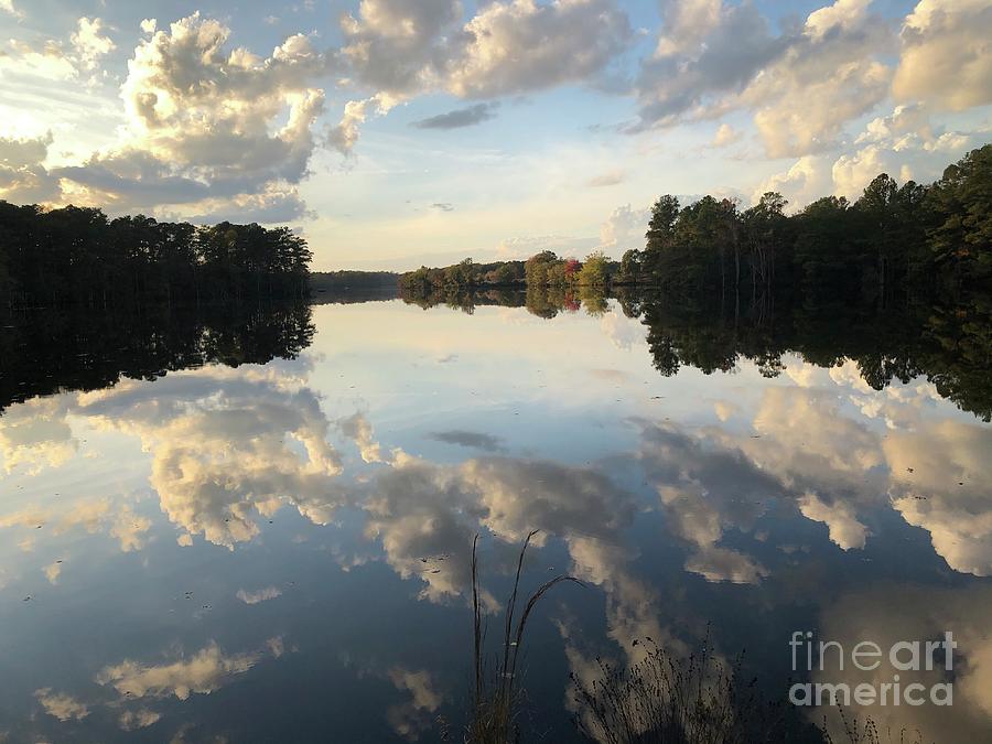 Johnson Millpond - Virginia Falling in Love 8 Photograph by Catherine Wilson