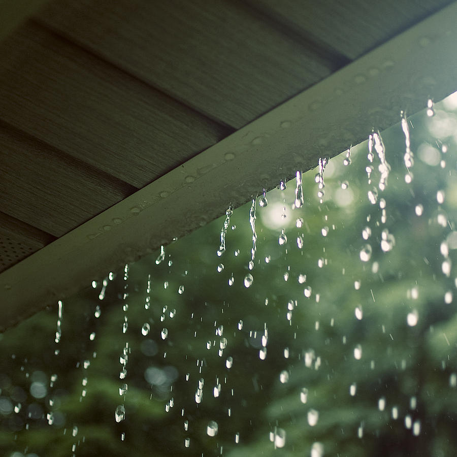 Falling rain Photograph by Natalie Macquire